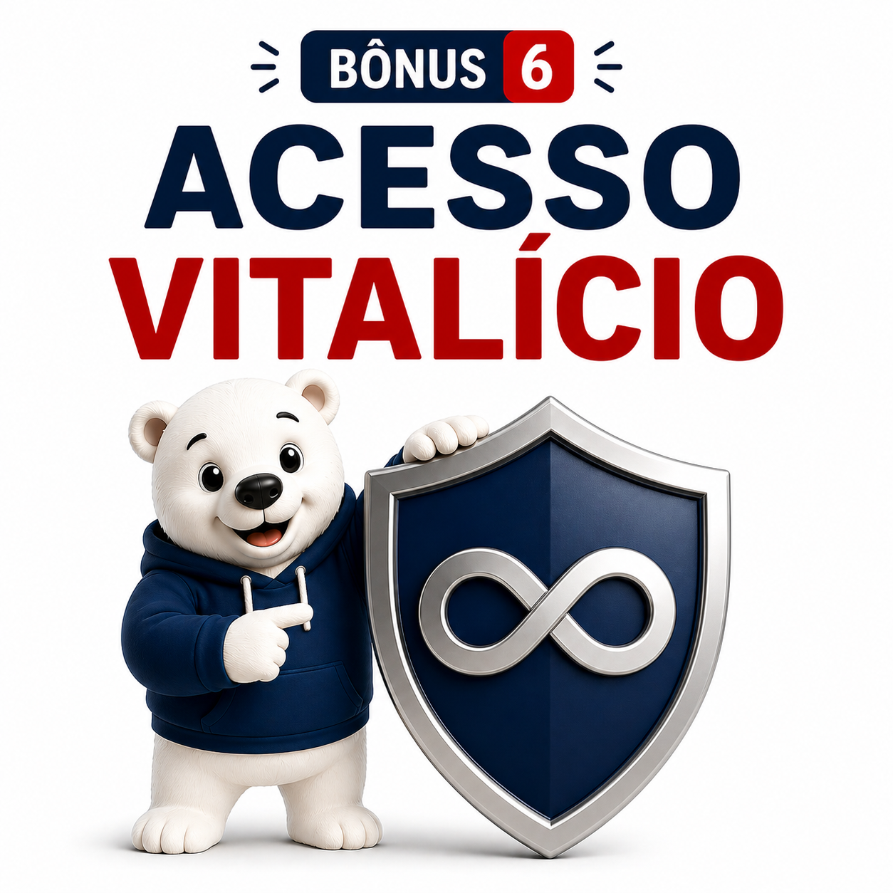 Bônus 6 Acesso Vitalício